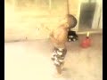 Biscuit needs a basketball goal