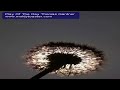 Play Of The Day Thomas Gardner.mov