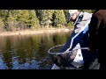 Severní štiky - Ontario