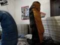 videos de worm 2