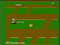 www.nesguide.com