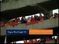 Tiger-War-Eagle-VI-R