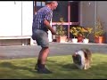 Dog Obedience training with Ron and Mac