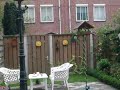 papegaaien in onze tuin ha,ha,