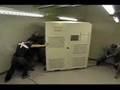 Moving a UPS