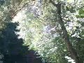 le douhet 08