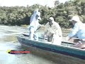 Programa Pesca Dinâmica - Pescaria de Jaú de 60 quilos no rio Teles Pires Programa Pesca Dinâmica - Pescaria de Jaú de 60 quilos no rio Teles Pires