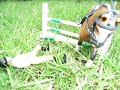 toy-horse-jumpingfirst-breyer-video-ever-made.html