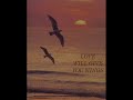 song: often a bird
artist: wim mertens
musicvideo by: kittenzilla

i used some really beautiful pictures of all kinds of birds, i hope you enjoy watching!

greetz & have a nice day,

cynthia