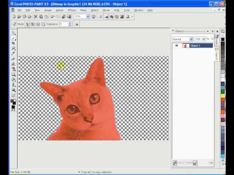 how to remove the background of a picture in paint