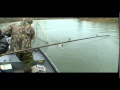 Big Salmon on The Quinault River