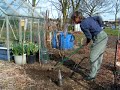 Sowing Woad Seeds Sowing Woad Seeds