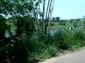 ESTRADA ILHÉUS-ITABUNA