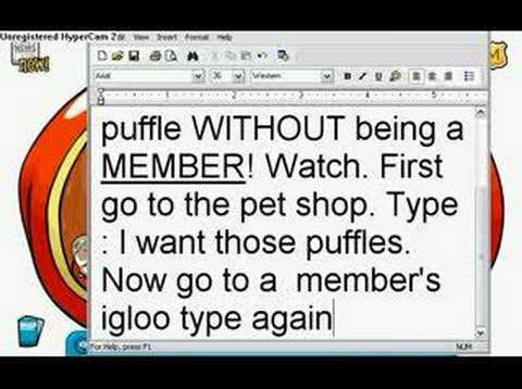 how to get more puffles without being a member