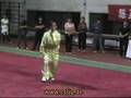 Chen Style Tai Chi Demonstration - Chen Zheng Lei