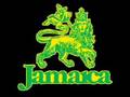 videos de JAMAICA