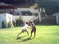 julian hedache bigtime