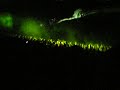 dj boosta fa impazzire 5600 persone!