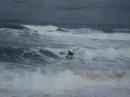 Shorey Bashers