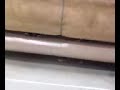 Lowes
