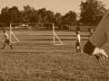 videos de Blackhawks Scrimmage  11-08.wmv