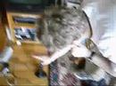 Audio Engineering Audio Engineering