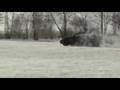 Audi A3 1.9 TDI quattro on snow