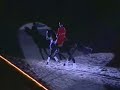 don frederico beligneux haras jumping etalon