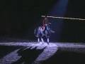 don frederico beligneux haras jumping etalon