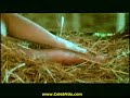 Search Video