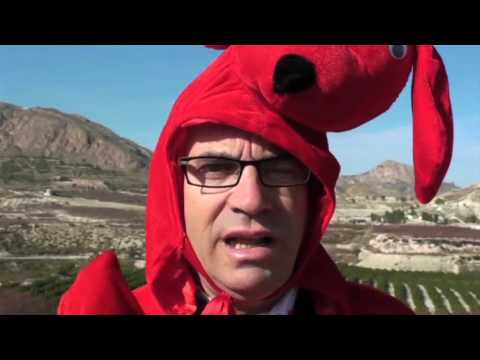 Imagen de previsualización de YouTube