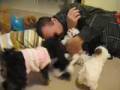videos de gordonpups.mov