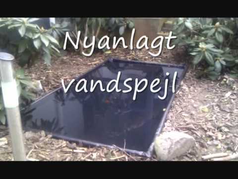YouTube-forhåndsvisningsbillede