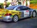 DAVID SALANON PEUGEOT 307 WRC RALLYE LIMOUSIN 2007 BY NIKOS