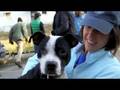 videos de 2nd Annual Benefit Concert Video