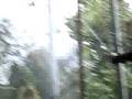 videos de Monkeys - Houston Zoo