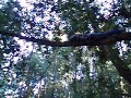 Nate Climbing