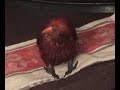 Bathtime for Miloh