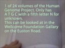 Creation and the Human
