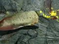 Antlion Grubs
