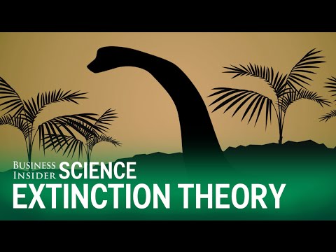 Did Dark Matter Kill The Dinosaurs?