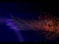 videos de Edu-tainment
