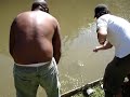 Peixe grande da porra...