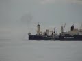 Greenpeace whaling collision Greenpeace whaling collision