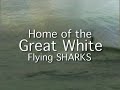 great white shark jumping