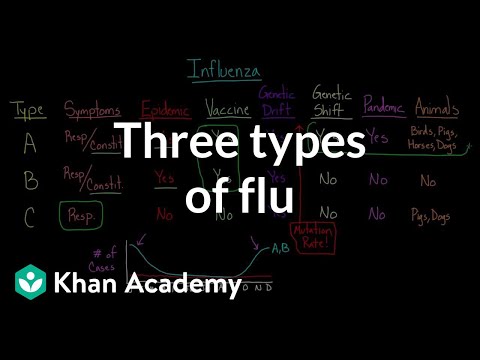 how to treat type c flu