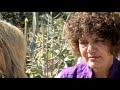Soekershof, een droomtuin in Zuid-Afrika Soekershof, een droomtuin in Zuid-Afrika