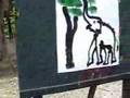 Freaky Cool Elephants Painting and Stuff