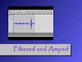 EVP - Is this a Statement or Disbelief