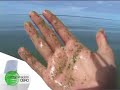 Contaminación Cero - Río Hondo - Parte 1 de 2 Contaminación Cero - Río Hondo - Parte 1 de 2